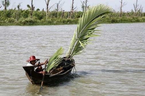 A fisherman uses palm leaves to sail the Pyanmalot River in Pyinsalu Township located in Myanmar’s delta region