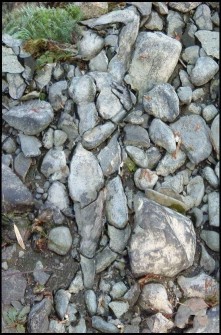 50514895090410