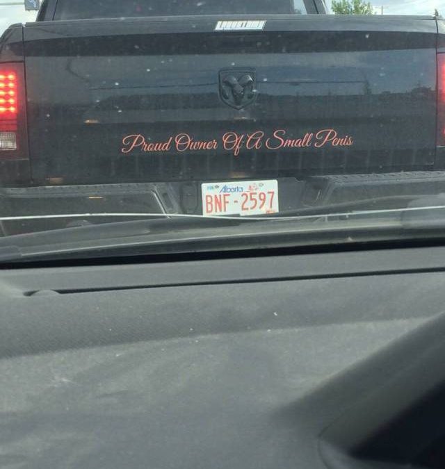 57582786150718